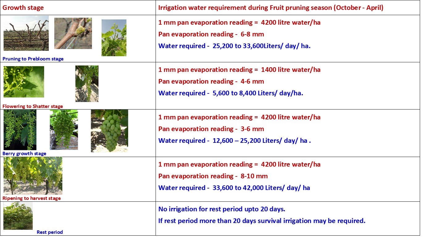 waterrequirement